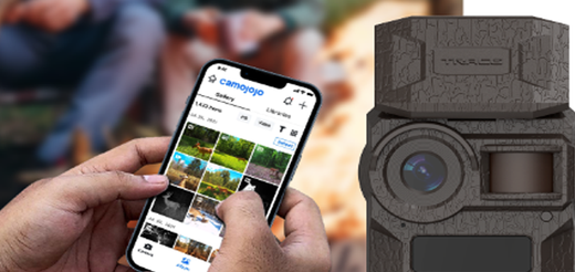 Alles zur Wildkamera mit SIM-Karte - Funktion, Einsatz und Kauftipps