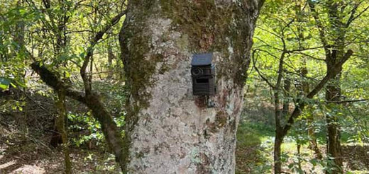 Ihr digitales Auge - die innovative Überwachungskamera mit Live-Übertragung aufs Handy