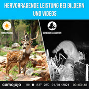 Camojojo Wildkamera 1er-Pack